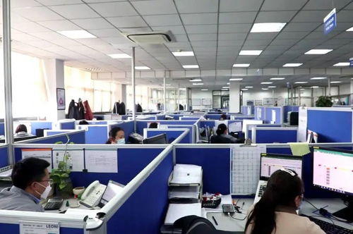 濟寧高新區 量身定制 破解企業發展難題